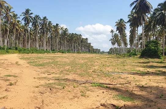 Terrain aménagé en lotissement, vue aérienne